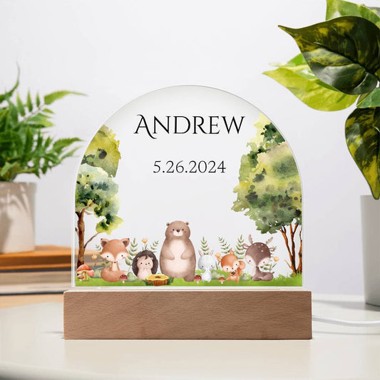 Personalize Nightlight for Baby | Welcome Baby Gift | LED Acrylic Dome Plaque