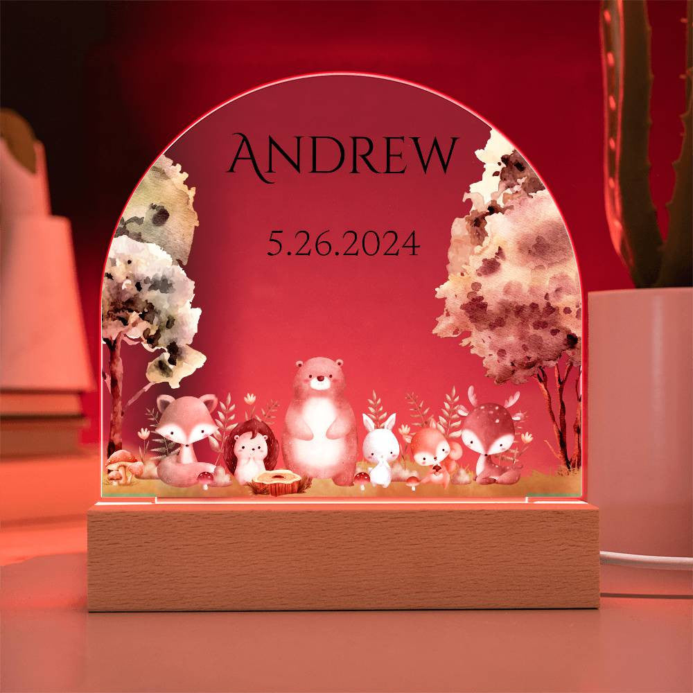 Personalize Nightlight for Baby | Welcome Baby Gift | LED Acrylic Dome Plaque