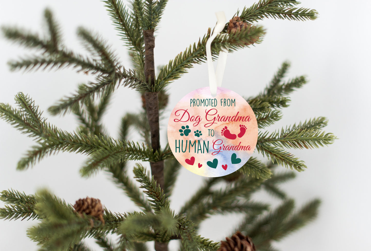 Promoted from Dog Grandma to Human Grandma | Pregnancy Announcement | Grandma Ornament