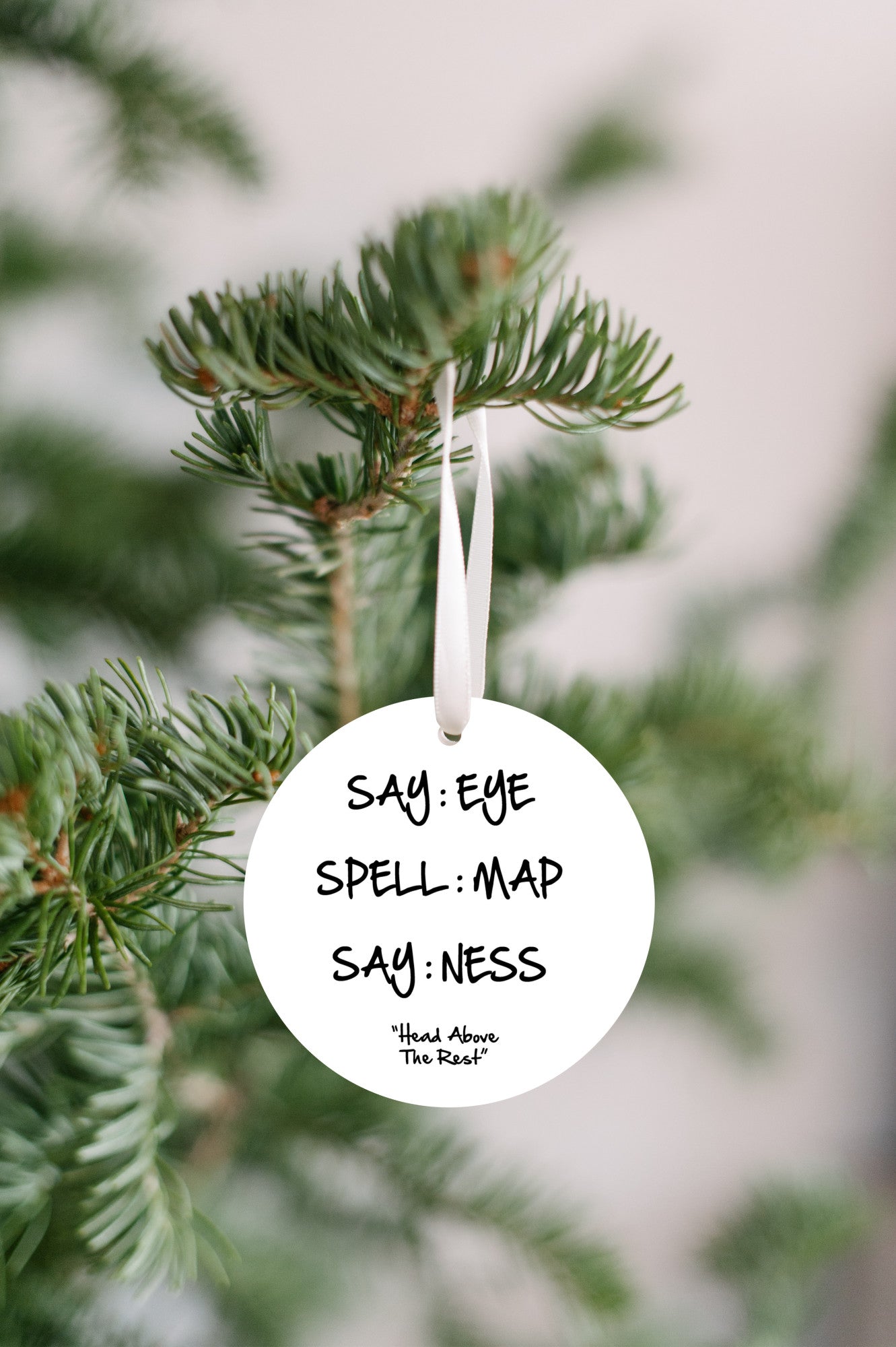 Funny Play on Words Ornament