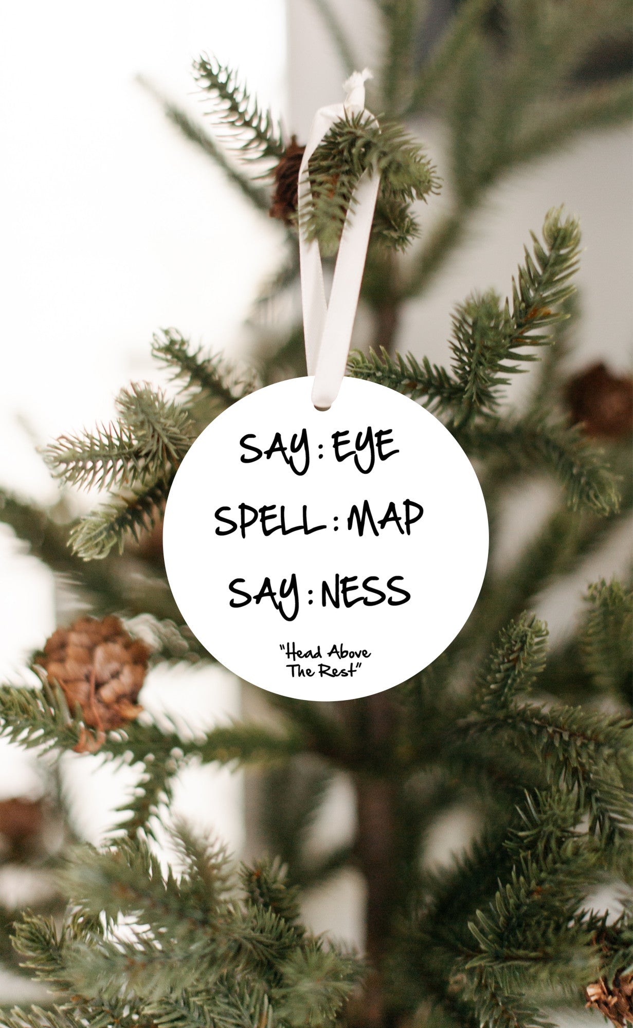 Funny Play on Words Ornament